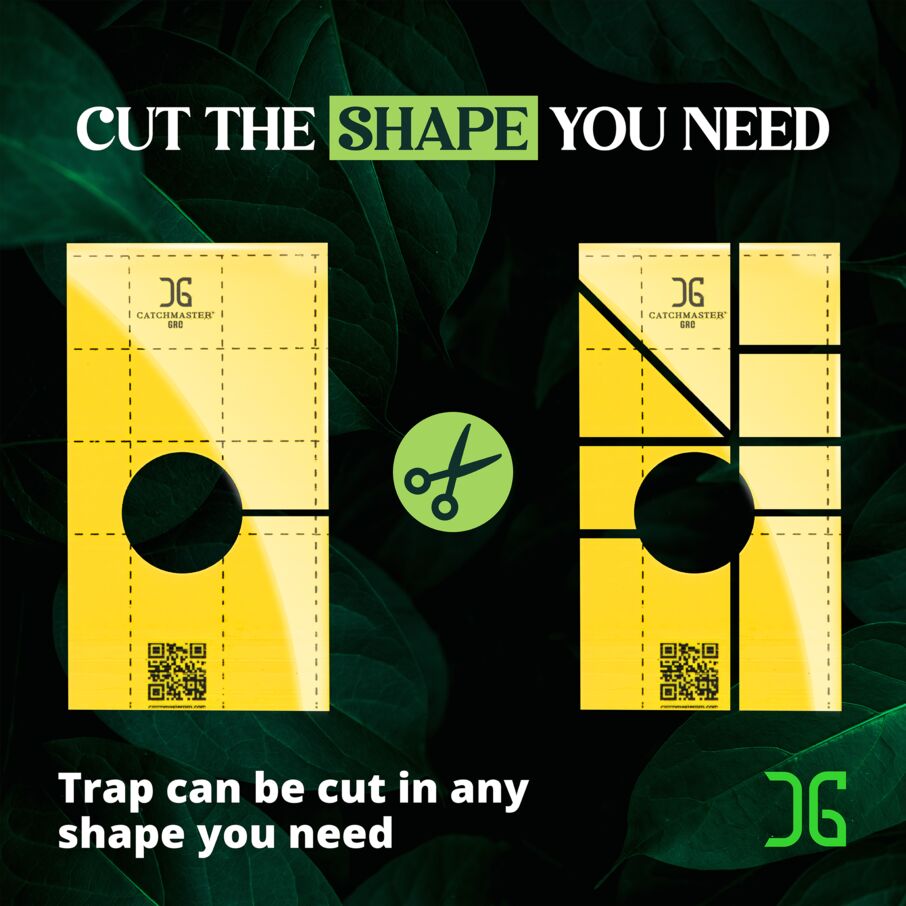 Pre-Cut Ready to Use Sticky Traps with Center Hole