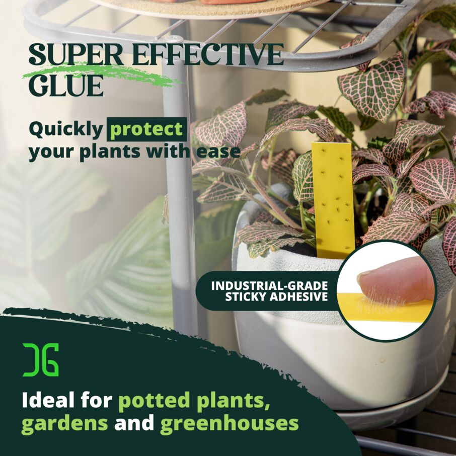 Dual Action Plant Labels Sticky Insect Trap