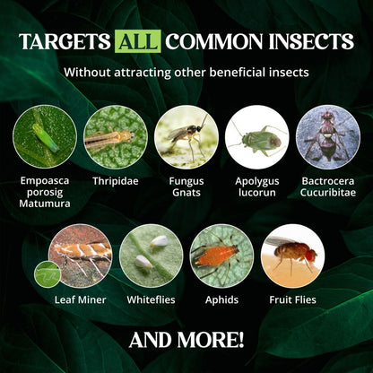 Dual Action Plant Labels Sticky Insect Trap