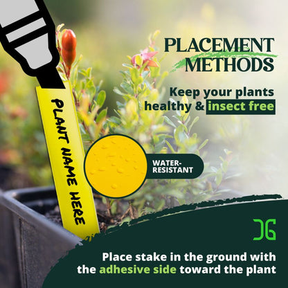 Dual Action Plant Labels Sticky Insect Trap