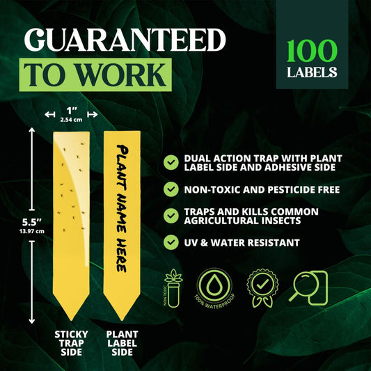 Dual Action Sticky Traps for Plants