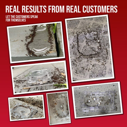 DEFIANT™ Premium Liquid Ant Control, 1-Year Supply + 8 Classic Bait Stations