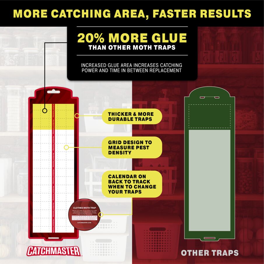 Catchmaster Premium Pantry Moth Traps with PheroGuard Technology, 6 Pack Marble Pattern Glue Traps