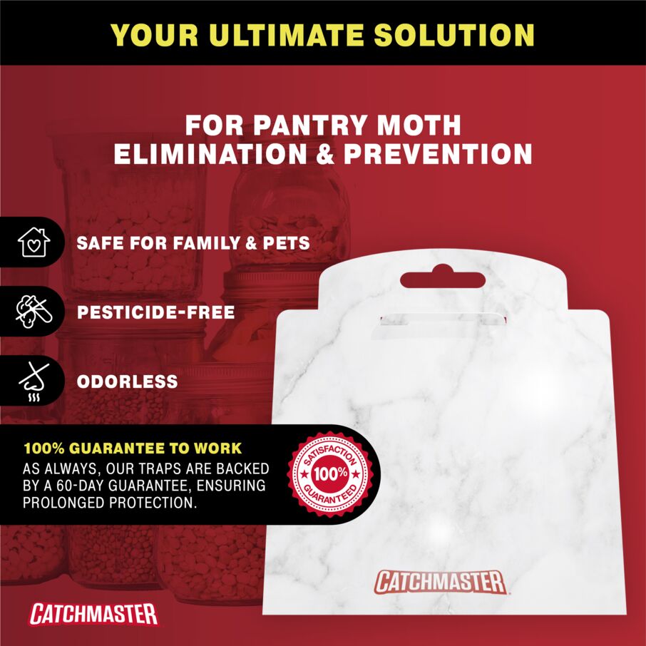 Catchmaster Premium Pantry Moth Traps with PheroGuard Technology, 6 Pack Marble Pattern Glue Traps