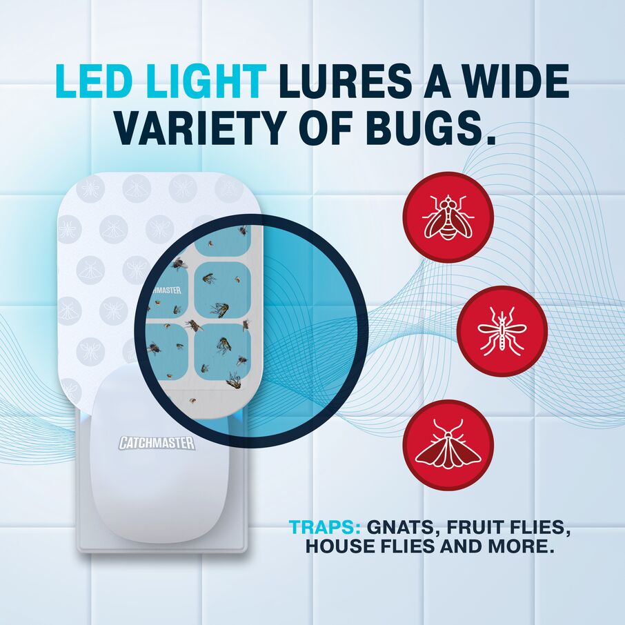 Catchmaster Plug-In Fruit Fly Trap with UV Light