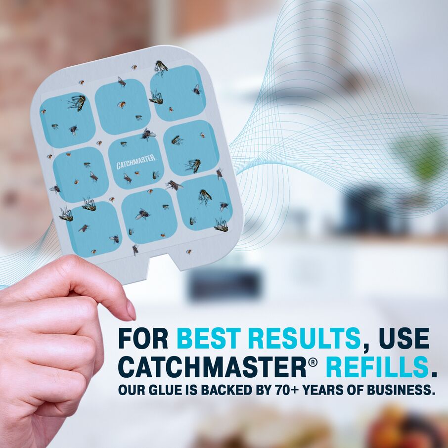 Catchmaster Plug-In Fruit Fly Trap with UV Light