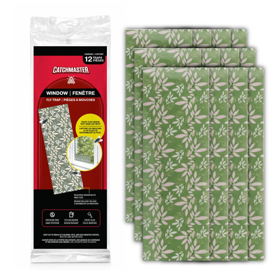 Window Fly Traps Decorative 12-Pack