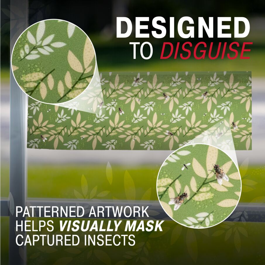 Window Fly Traps Decorative 12-Pack