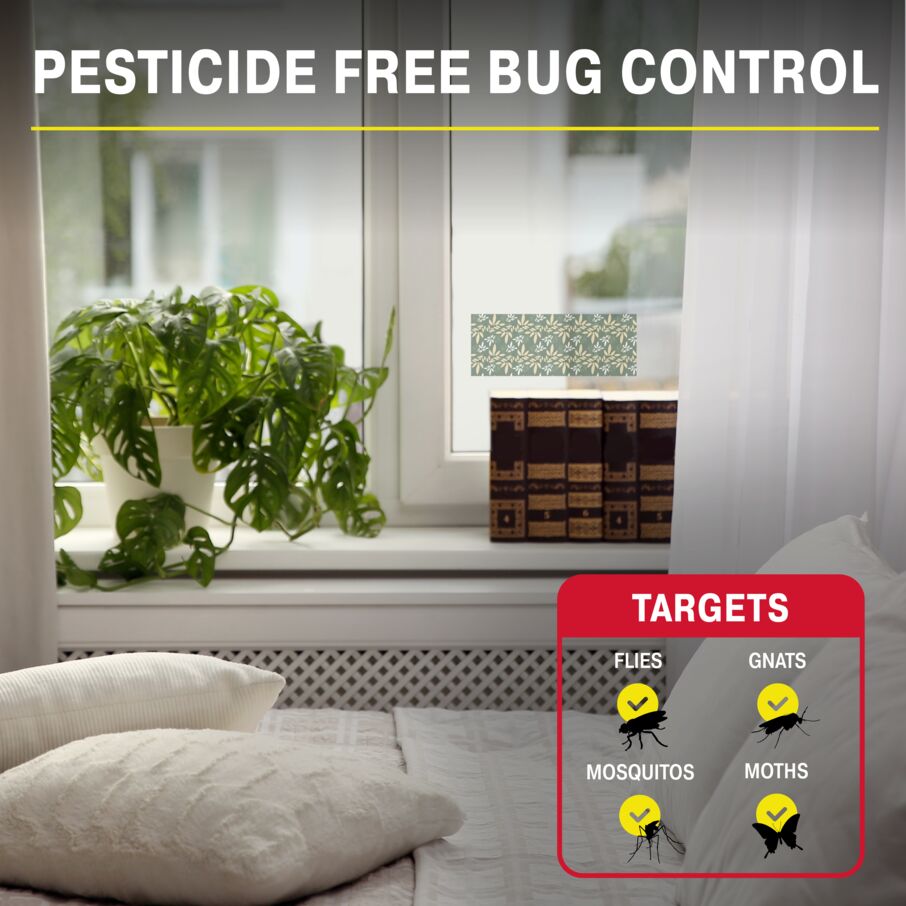 Window Fly Traps Decorative 12-Pack