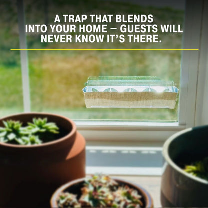 Window Fly Traps Decorative Linen 12-Pack