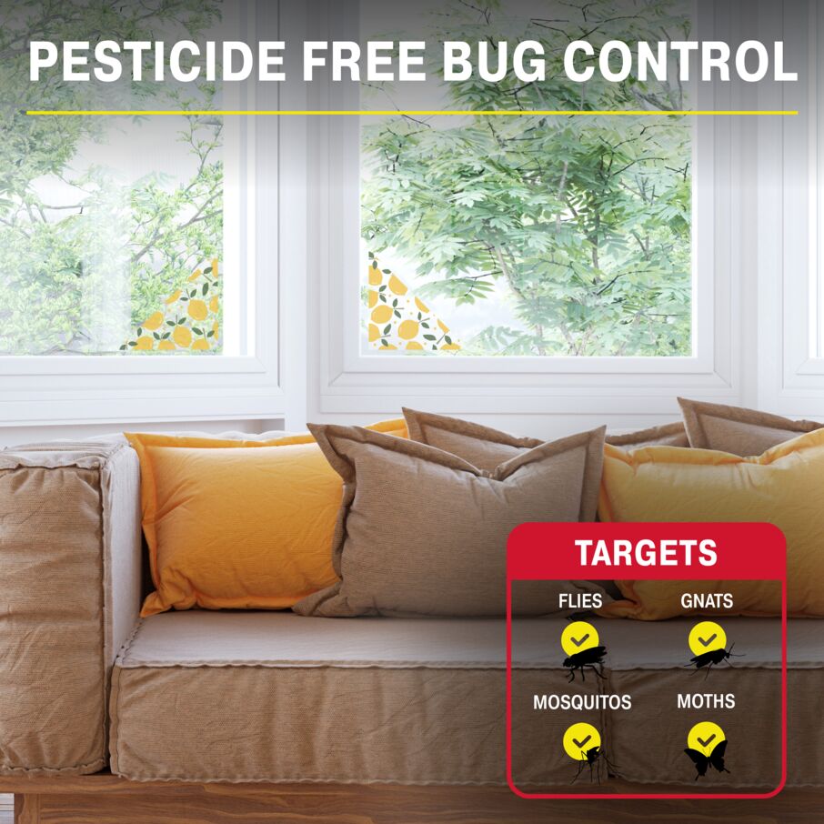 Fly Traps for Window Corners, Decorative 12-Pack