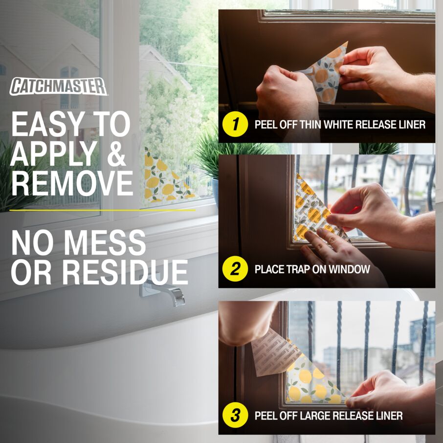 Fly Traps for Window Corners, Decorative 12-Pack