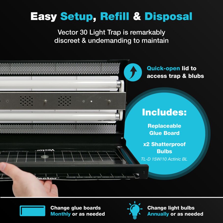 Vector 30 UV Light Fly Traps - Black