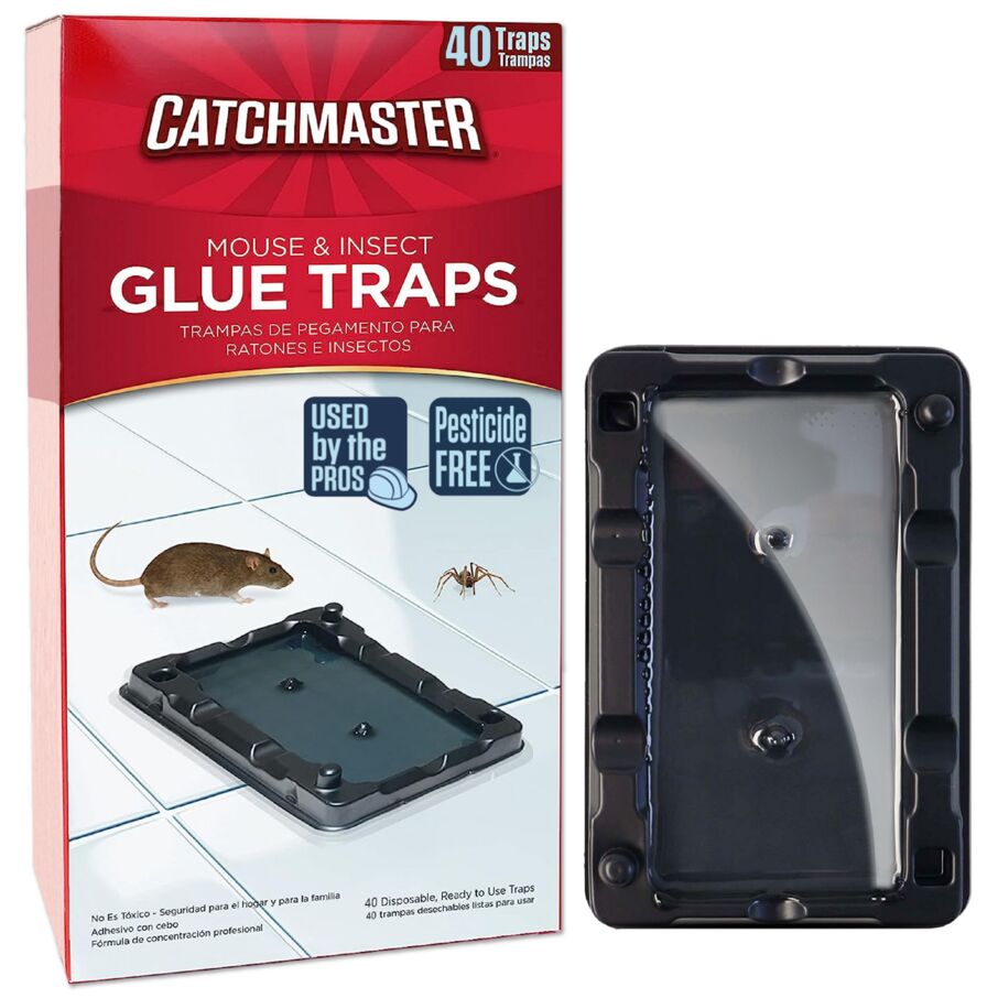 Mouse & Insect Glue Traps