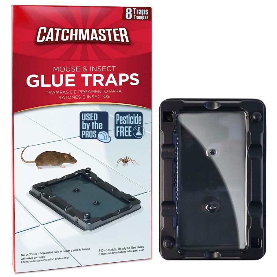 Mouse & Insect Glue Traps
