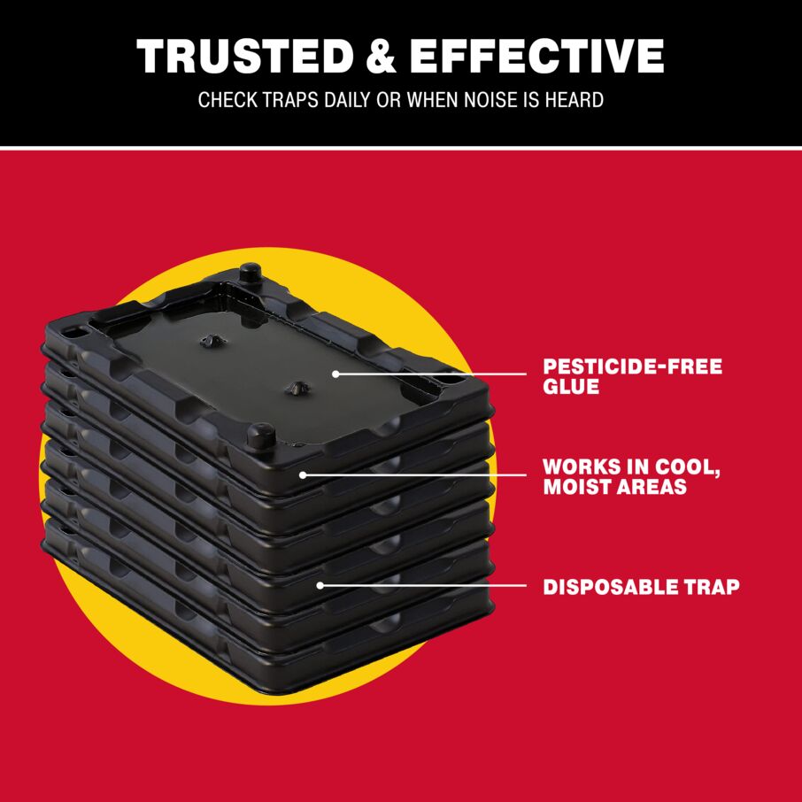 Mouse & Insect Glue Traps