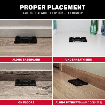 Mouse & Insect Glue Traps