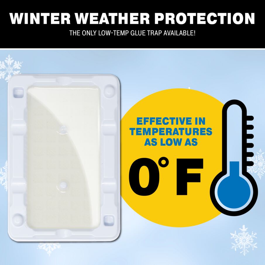 Mouse & Insect Glue Trays for Cold Weather