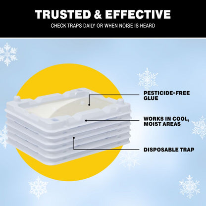 Mouse & Insect Glue Trays for Cold Weather