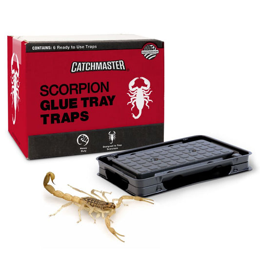 Scorpion Glue Tray Traps