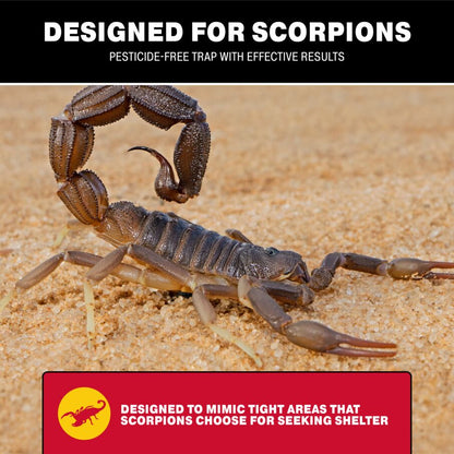 Scorpion Glue Tray Traps