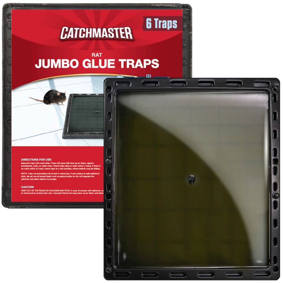 Jumbo Glue Traps for Large Rodents and Other Pests