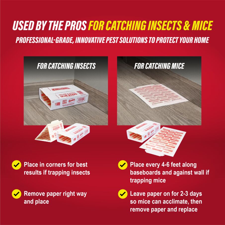 Pro Strength Mouse & Insect Glue Boards