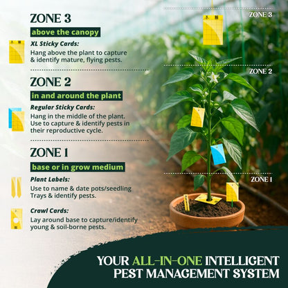 Pre-Cut Ready to Use Sticky Traps with Center Hole