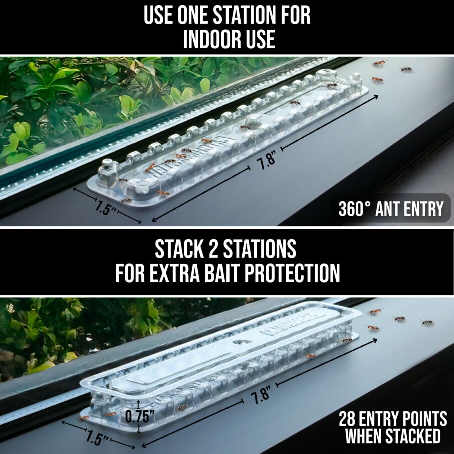 DEFIANT™ Extra Long Reusable Ant Traps Indoor – 8 Pack