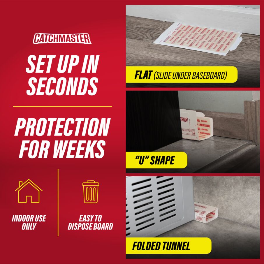 Pro Strength Mouse & Insect Glue Boards