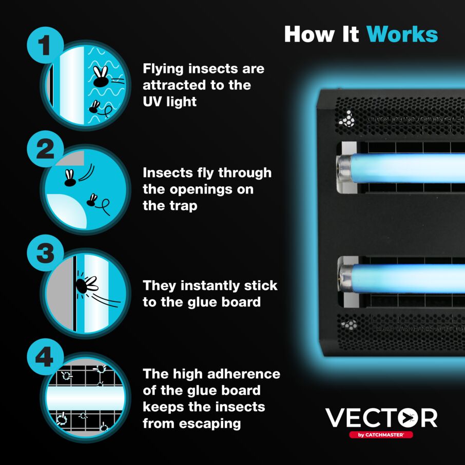 Vector 30 UV Light Fly Trap in Black