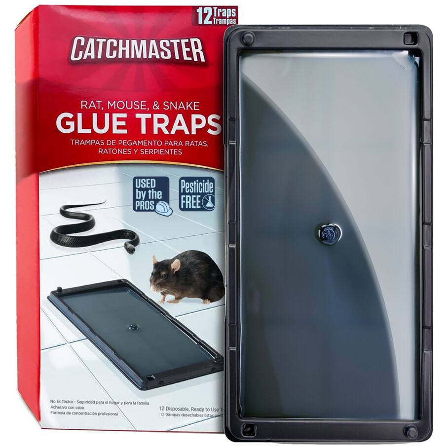 Rat, Mouse & Insect Glue Traps