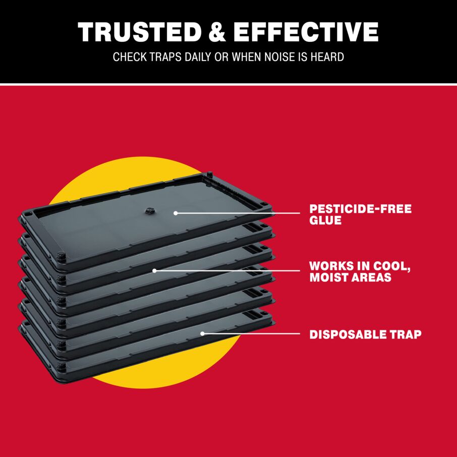 Rat, Mouse & Insect Glue Traps