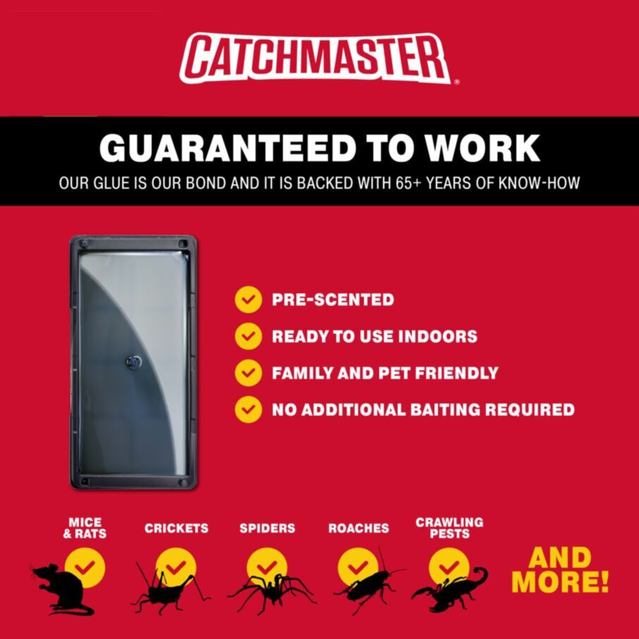 Non-Toxic Rat, Mouse & Insect Glue Traps
