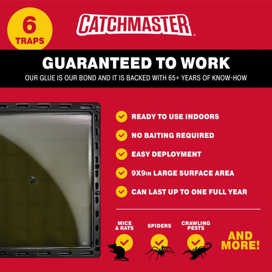 Jumbo Glue Traps for Large Rodents and Other Pests
