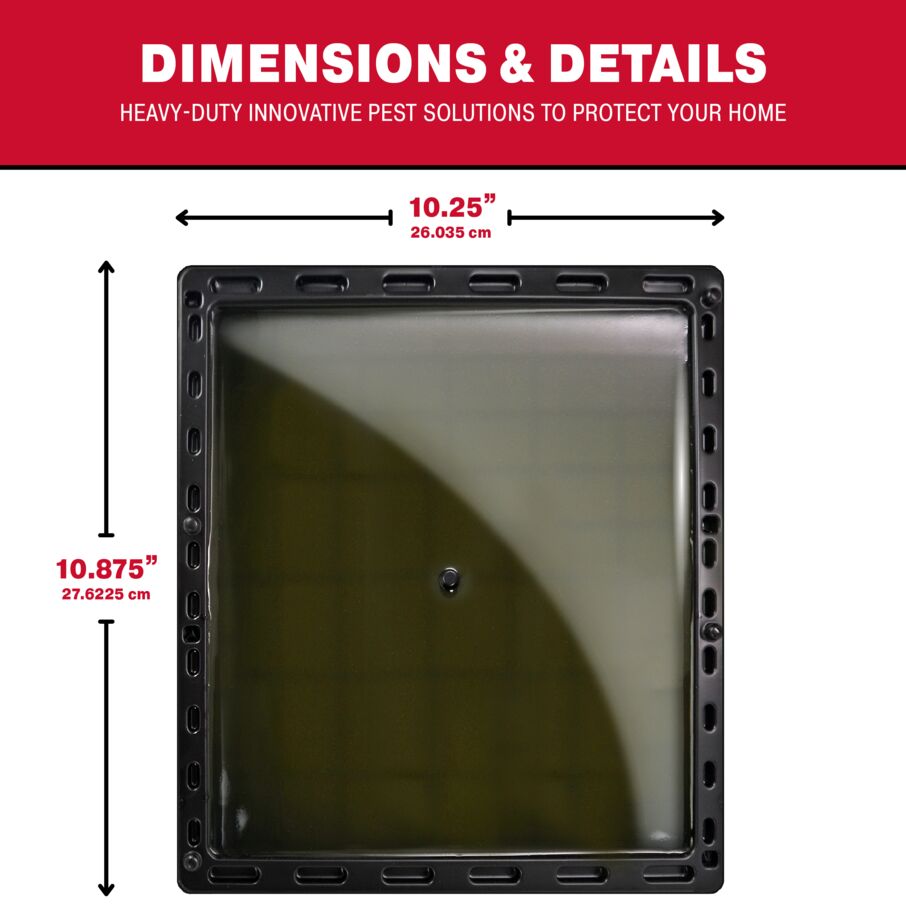 Jumbo Glue Traps for Large Rodents and Other Pests