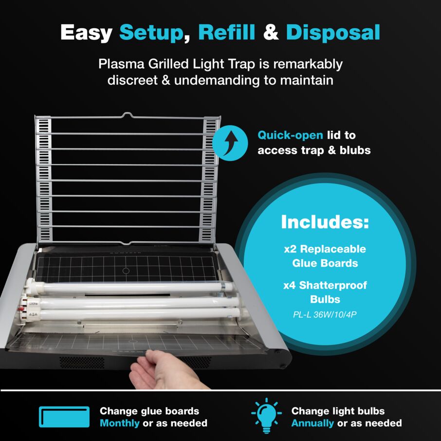 Vector Plasma Grilled UV Light Fly Trap