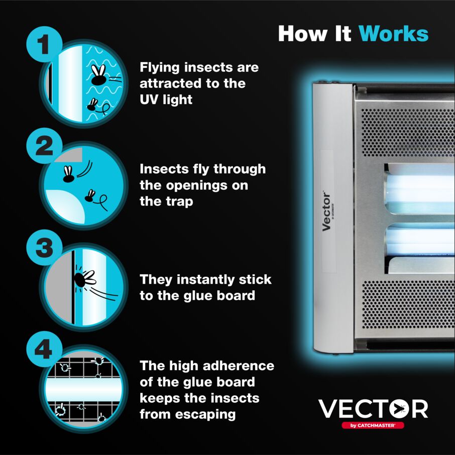 Vector Plasma Screened UV Fly Light Trap