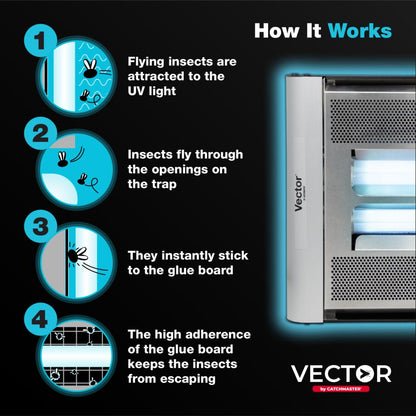 Vector Plasma Screened UV Fly Light Trap