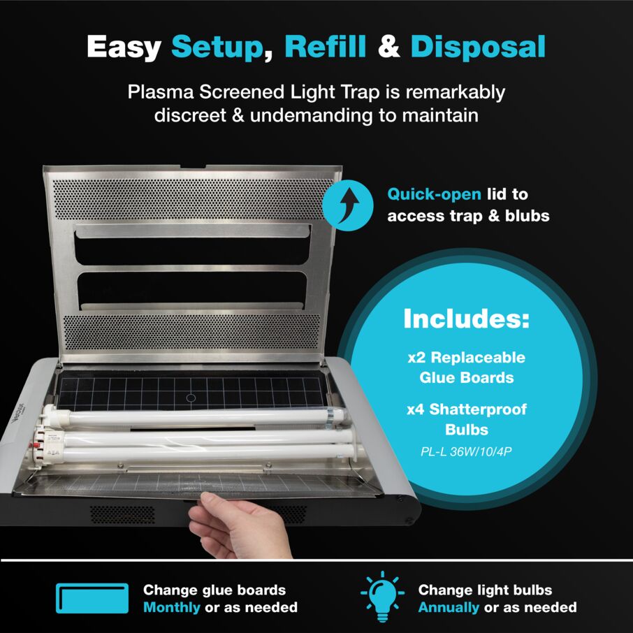 Vector Plasma Screened UV Fly Light Trap