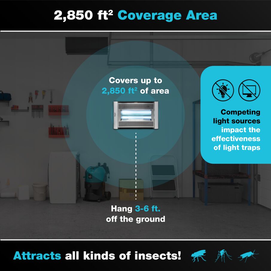 Vector Plasma Screened UV Fly Light Trap