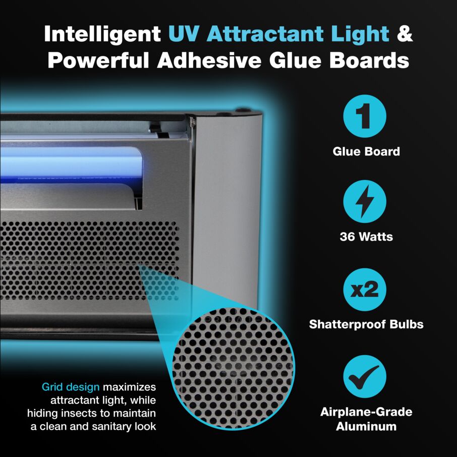 Vector Plasma One UV Light Fly Trap