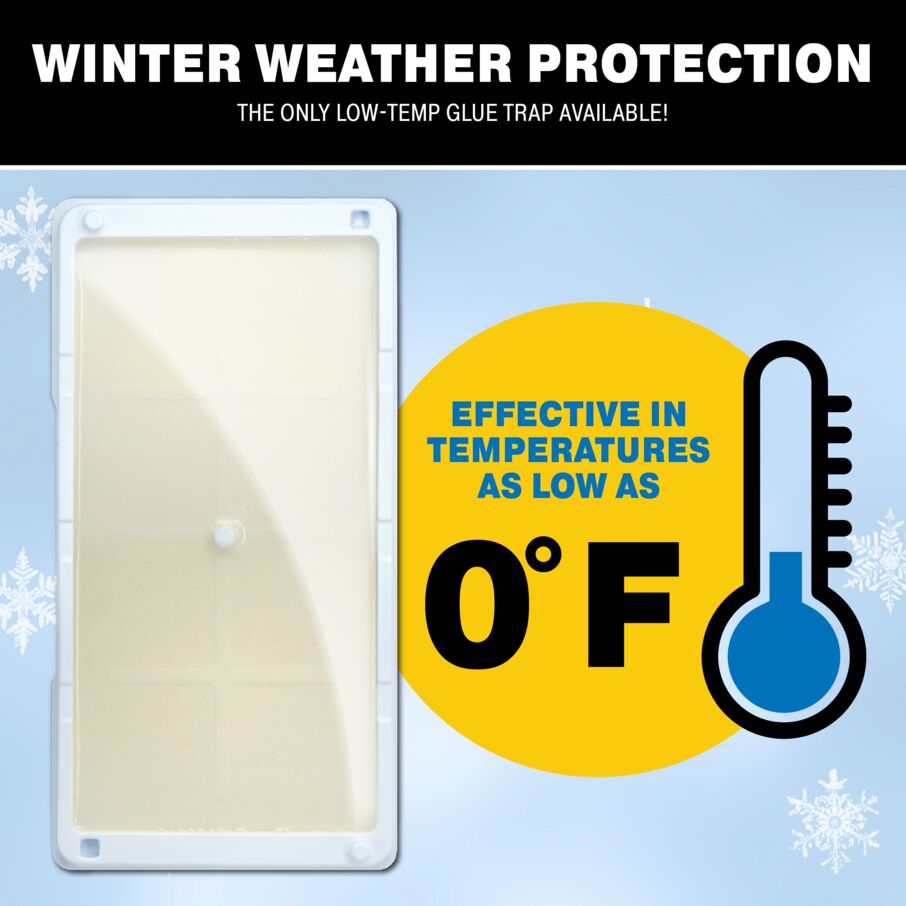 Rodent & Insect Glue Trays for Cold Weather