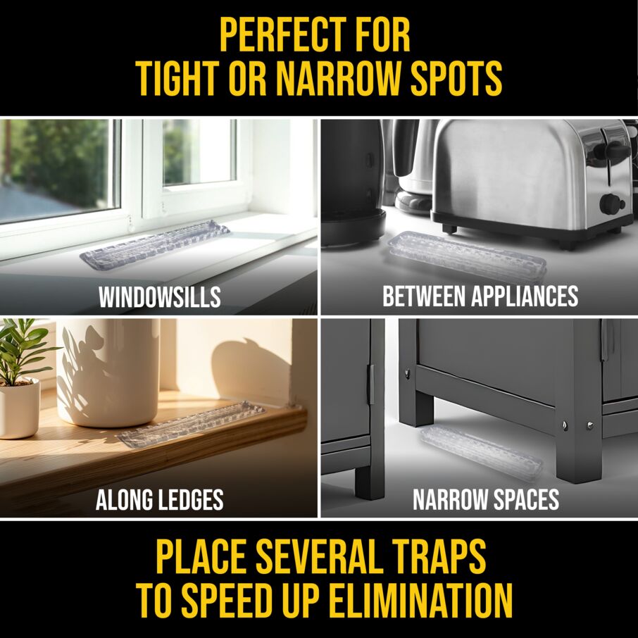 DEFIANT™ Extra Long Reusable Ant Traps Indoor – 8 Pack