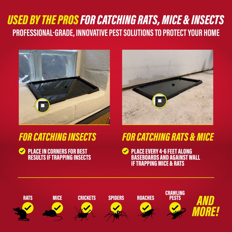 Heavy-Duty Rat, Mouse & Insect Glue Traps