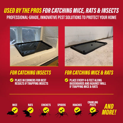 Rat, Mouse & Insect Glue Traps