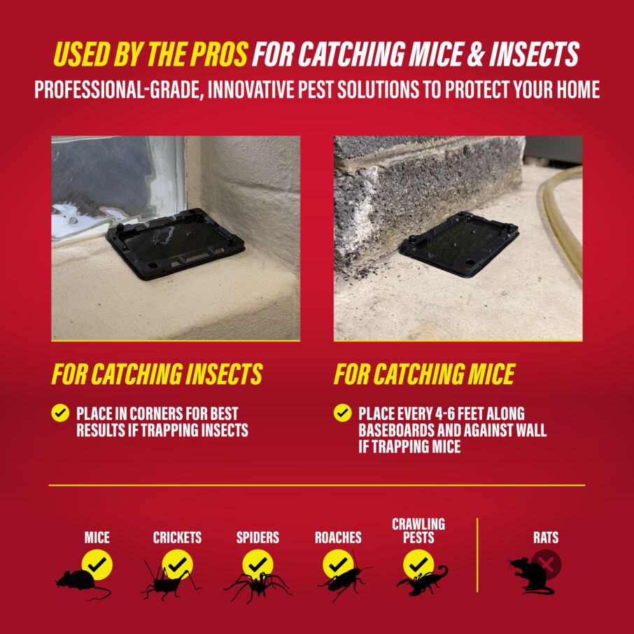 Mouse & Insect Glue Traps