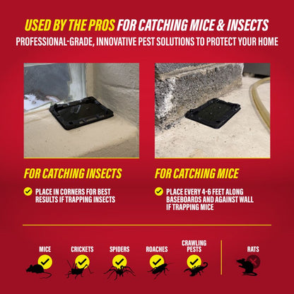 Mouse & Insect Glue Traps