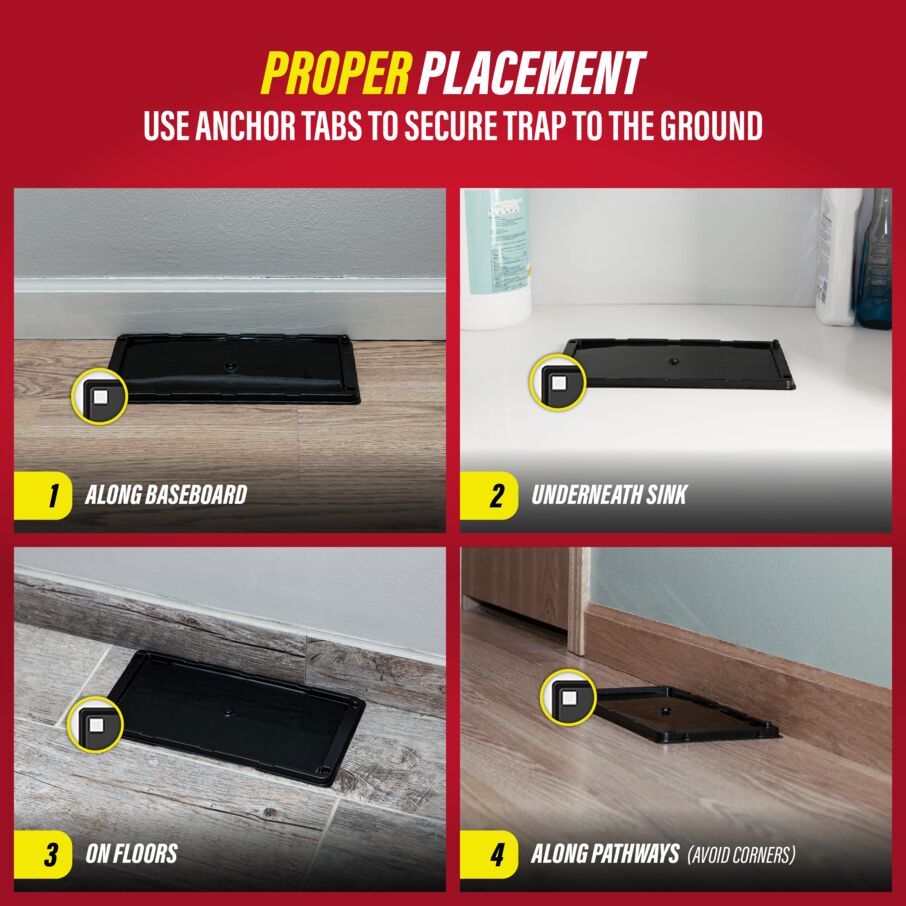 Heavy-Duty Rat, Mouse & Insect Glue Traps