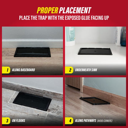 Rat, Mouse & Insect Glue Traps